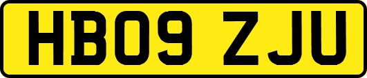 HB09ZJU