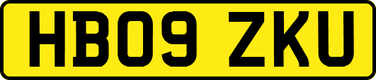 HB09ZKU