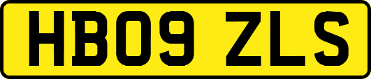 HB09ZLS