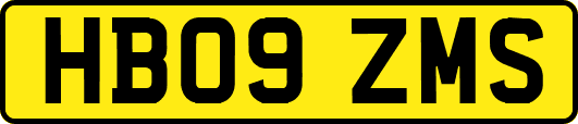 HB09ZMS