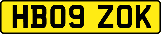 HB09ZOK