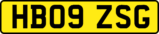 HB09ZSG