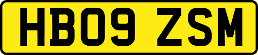 HB09ZSM