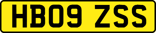HB09ZSS