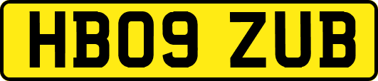 HB09ZUB