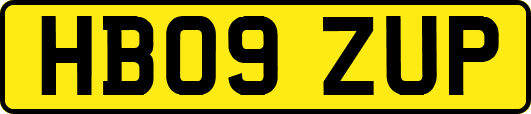 HB09ZUP