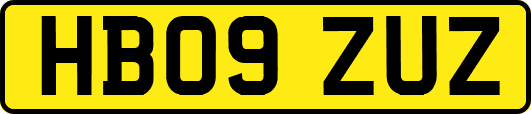 HB09ZUZ