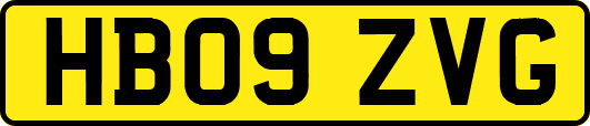 HB09ZVG