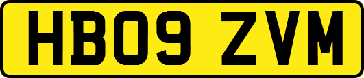 HB09ZVM