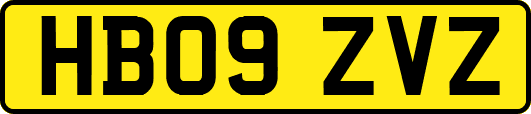 HB09ZVZ