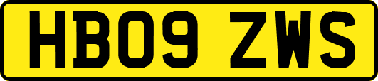 HB09ZWS