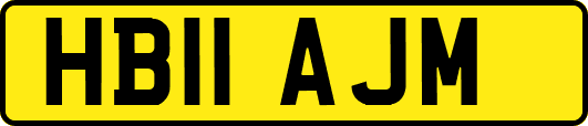 HB11AJM