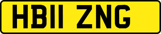 HB11ZNG