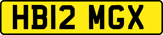 HB12MGX