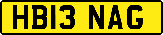 HB13NAG