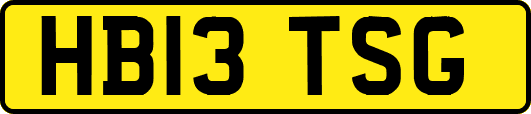HB13TSG