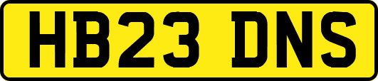 HB23DNS