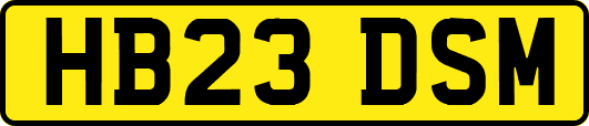 HB23DSM