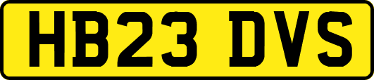 HB23DVS