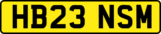 HB23NSM