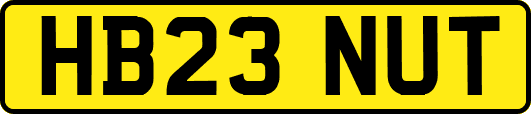 HB23NUT