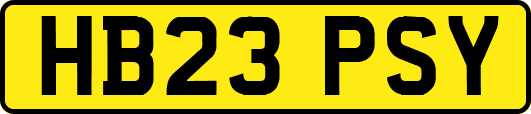 HB23PSY