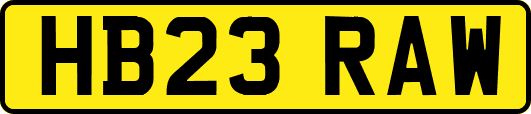 HB23RAW
