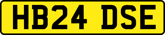 HB24DSE
