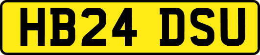 HB24DSU