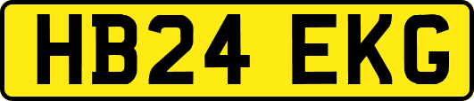 HB24EKG