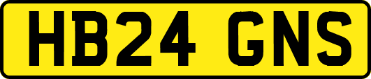 HB24GNS