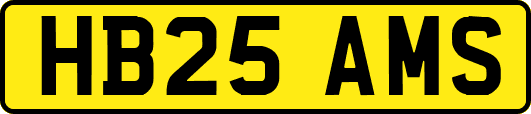 HB25AMS