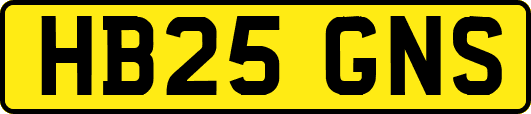 HB25GNS