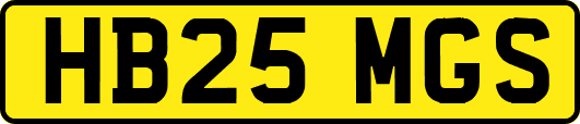 HB25MGS