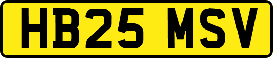 HB25MSV