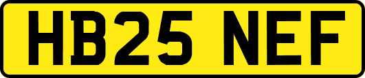 HB25NEF