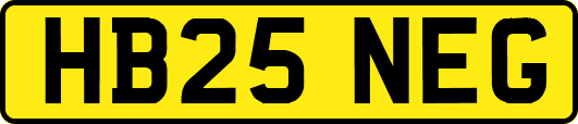 HB25NEG