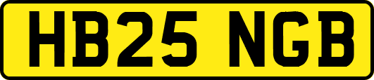 HB25NGB