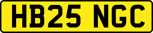 HB25NGC