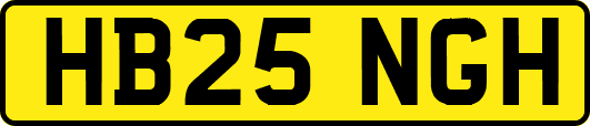 HB25NGH