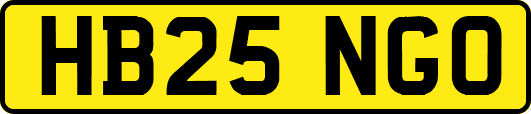HB25NGO
