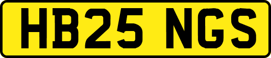 HB25NGS