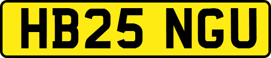 HB25NGU