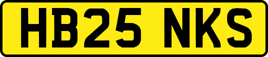 HB25NKS