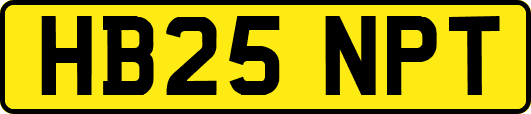 HB25NPT