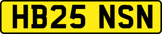 HB25NSN