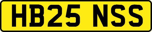 HB25NSS