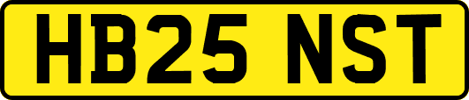 HB25NST