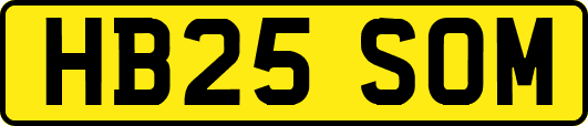 HB25SOM