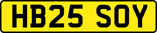 HB25SOY